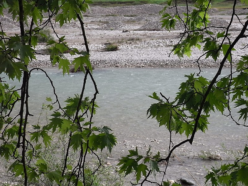 R0010126.JPG - Day 2: The waters of the Evinus through the branches of the Plane trees