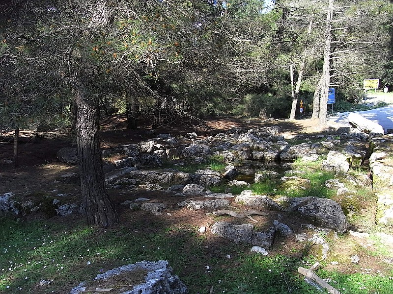 R0010213.JPG - Exif_JPEG_PICTURE                                              