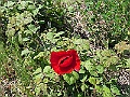 R0010026