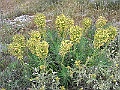 R0010032