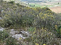 R0010033