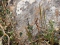 R0010034