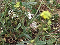 R0010035