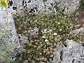 R0010036