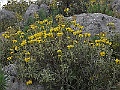 R0010037