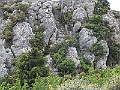 R0010046