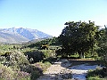 R0010066