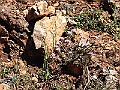 R0010069
