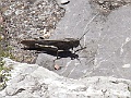 R0010084