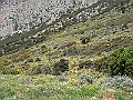 R0010085