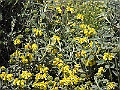 R0010092