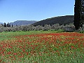 R0010093