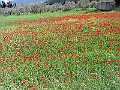 R0010094