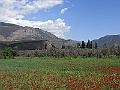 R0010095