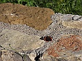 R0010107