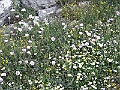 R0010127