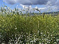 R0010131
