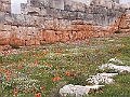 R0010137