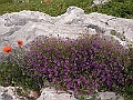 R0010138