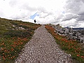 R0010140