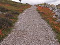 R0010141