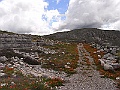 R0010142