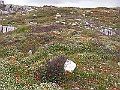 R0010148