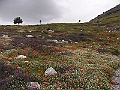 R0010149
