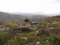 R0010151