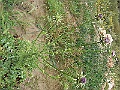 R0010154