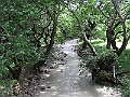 R0010160