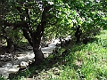 R0010161
