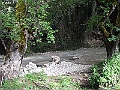 R0010164