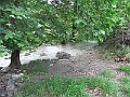 R0010165