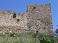 R0010169