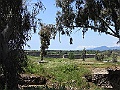 R0010170