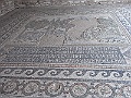 R0010176
