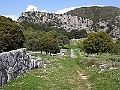 R0010193