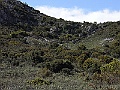 R0010194