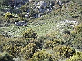 R0010195