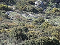 R0010196