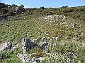R0010204