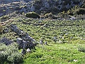 R0010206