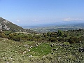 R0010208
