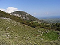 R0010209