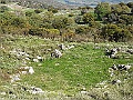 R0010210