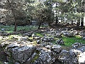 R0010211
