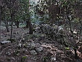 R0010214