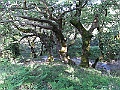 R0010215