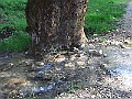 R0010216